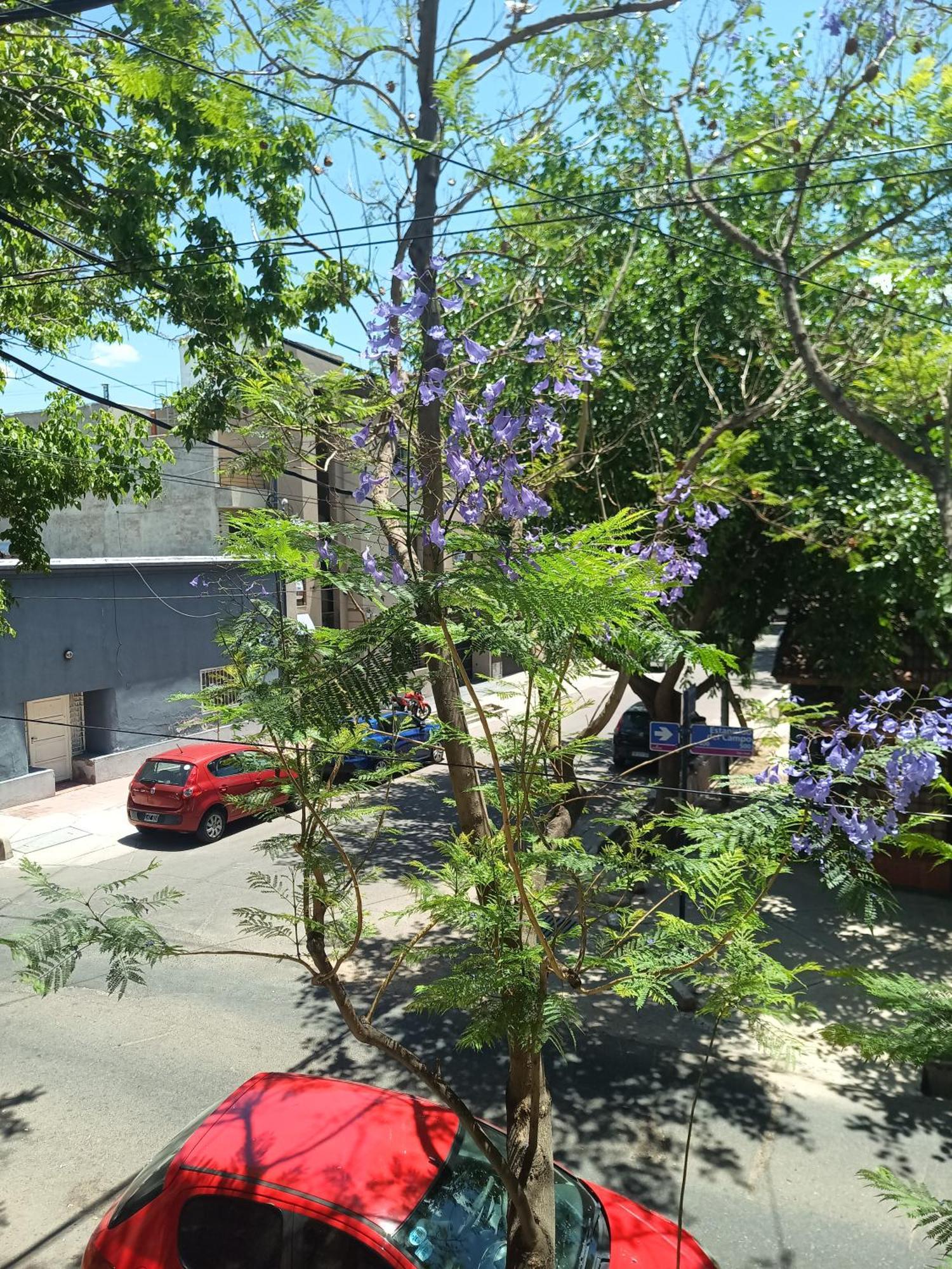 Duplex Malbec Apartment